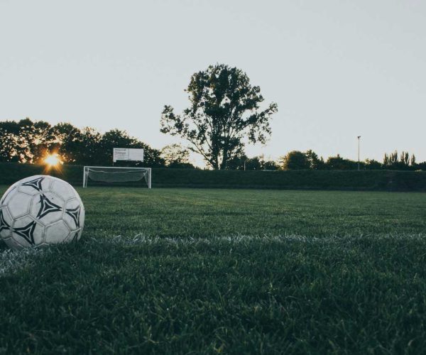 L’Intelligence Collective : un Atout pour Développer l’Économie Rurale au Féminin