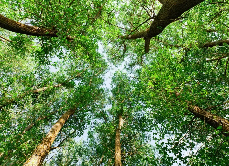 Anticipation des changements climatiques